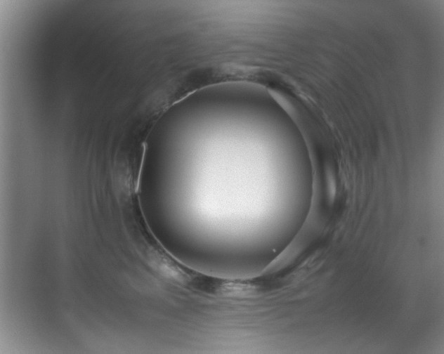 X0000070390617200606091153