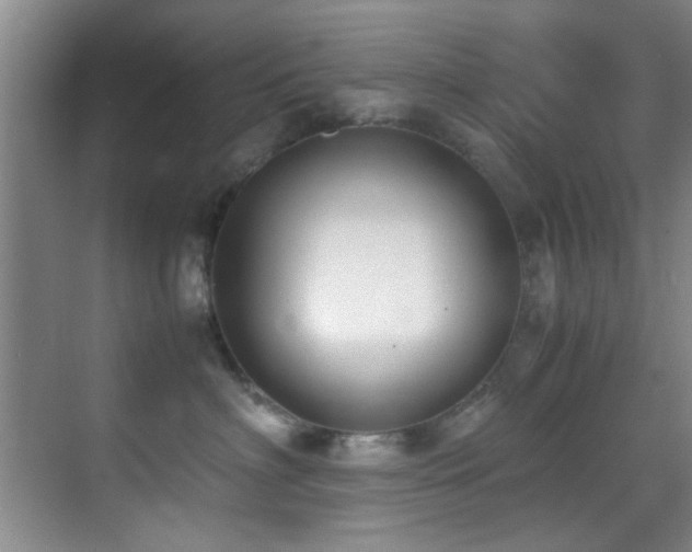 X0000070390622200606091153