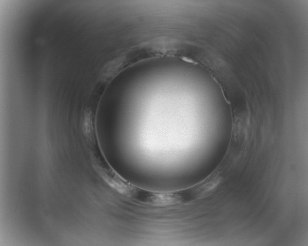 X0000070390623200606091153