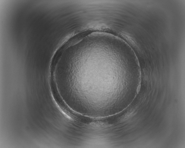 X0000070390630200606091152