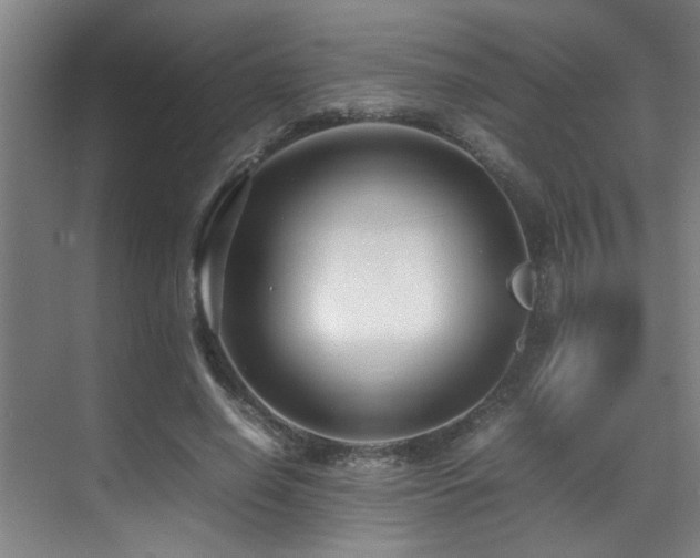 X0000070390638200606091152