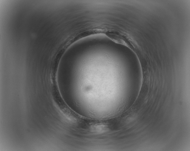 X0000070390643200606091152