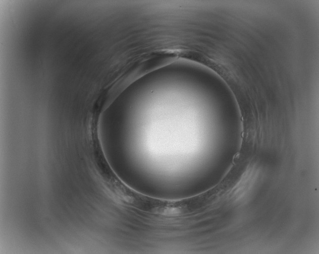 X0000070390647200606091152