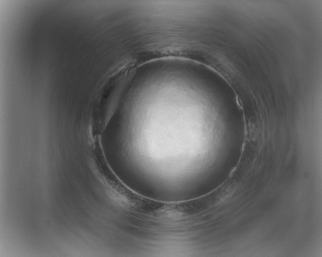 X0000070390648200606091152