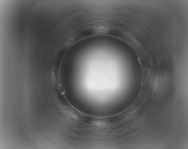 X0000070390655200606091152