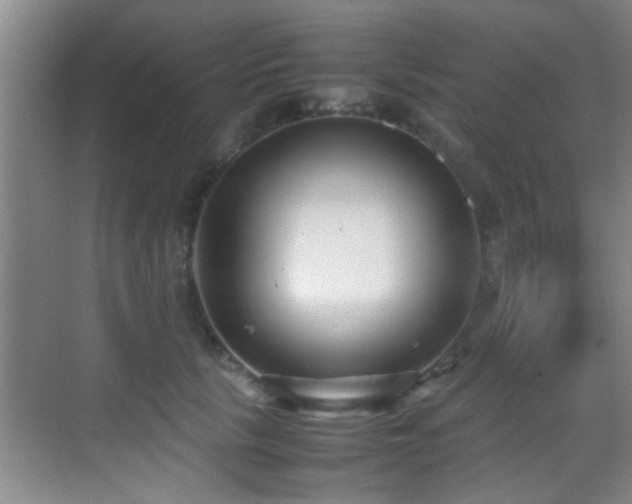 X0000070390657200606091152
