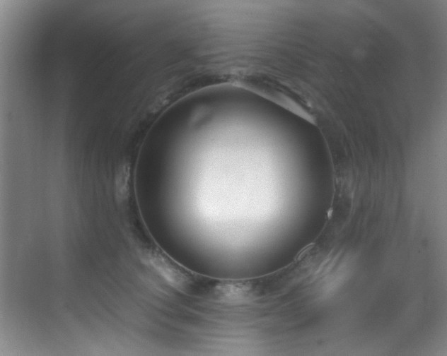 X0000070390660200606091153