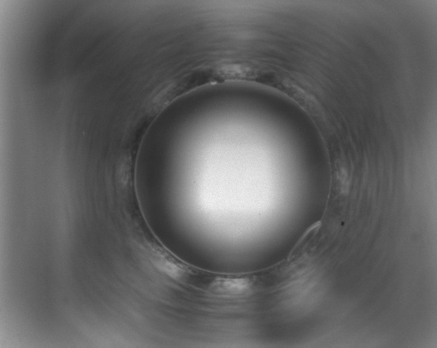 X0000070390665200606091153
