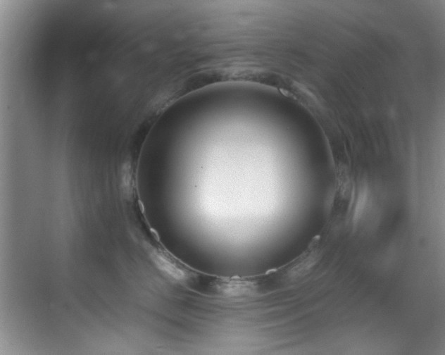 X0000070390670200606091153
