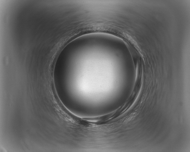 X0000070390673200606091152