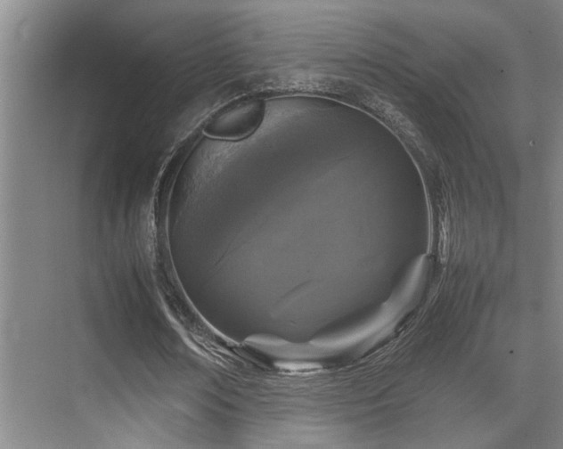 X0000070390674200606091152