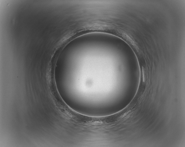 X0000070390675200606091152