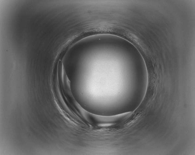 X0000070390677200606091152