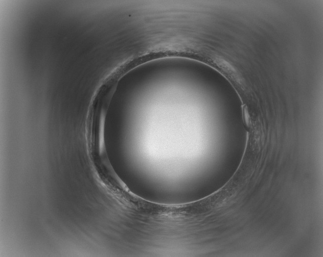 X0000070390680200606091152
