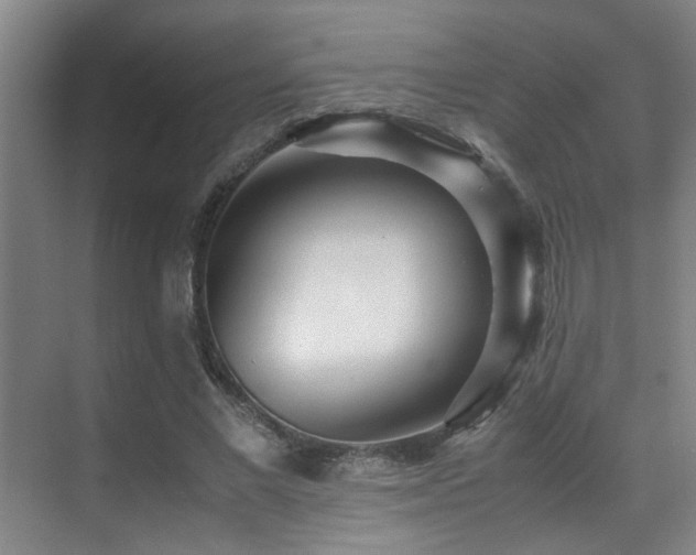 X0000070390685200606091152
