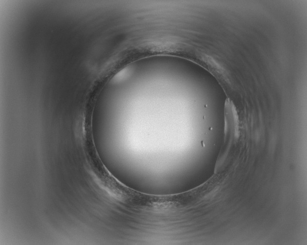 X0000070390686200606091152