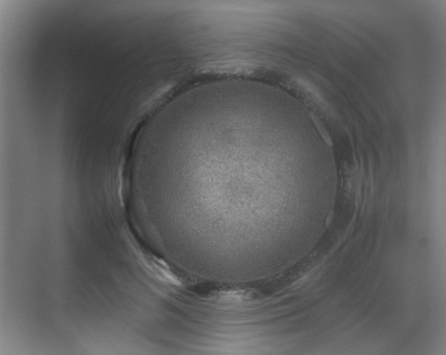 X0000070390692200606091152