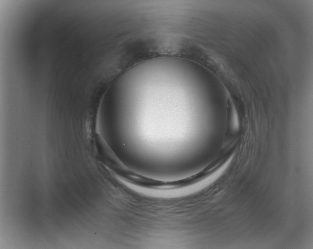 X0000070390697200606091152