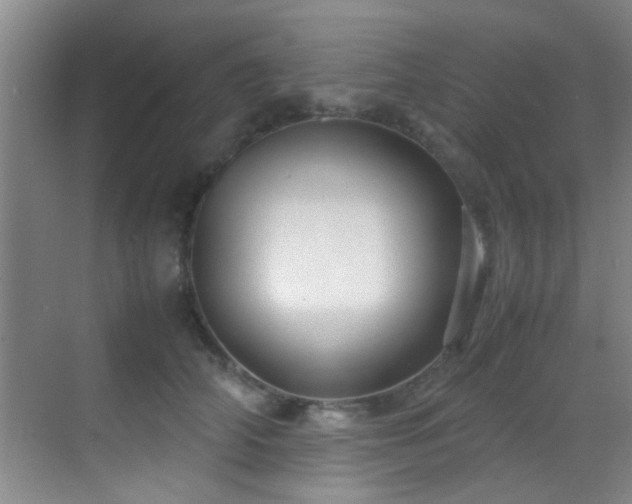 X0000070390706200606091151