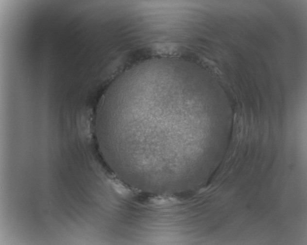 X0000070390712200606091151