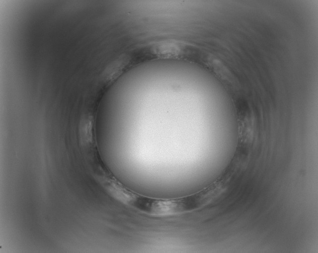 X0000070390717200606091151