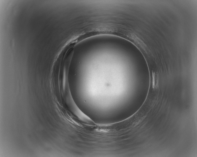 X0000070390723200606091150