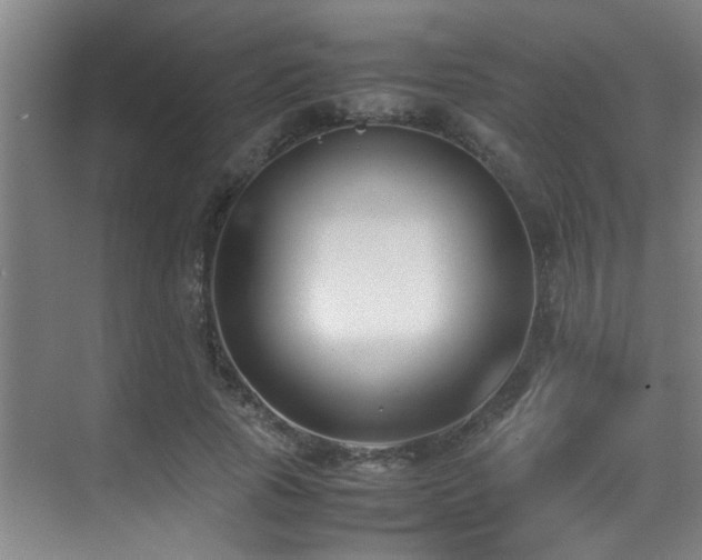 X0000070390737200606091151
