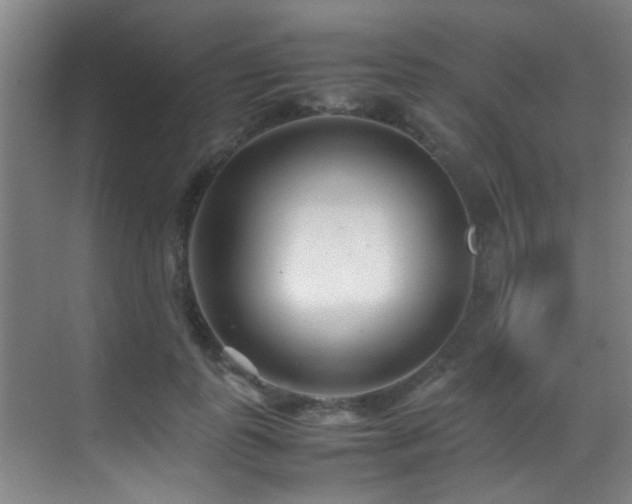 X0000070390747200606091151