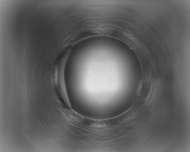 X0000070390749200606091151