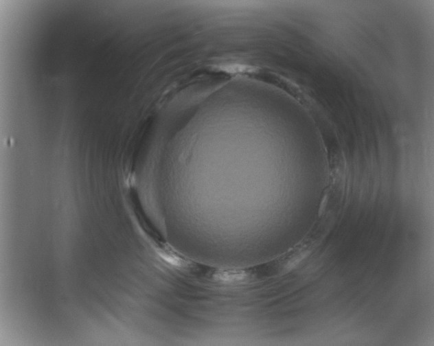 X0000070390767200606091151