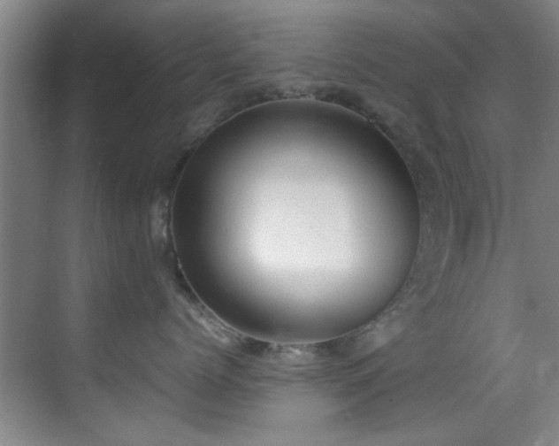 X0000070390768200606091151
