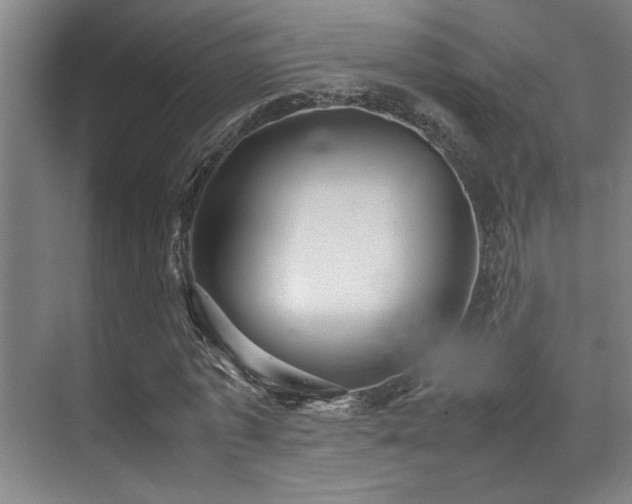X0000070390773200606091150