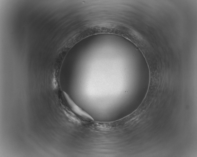 X0000070390774200606091150