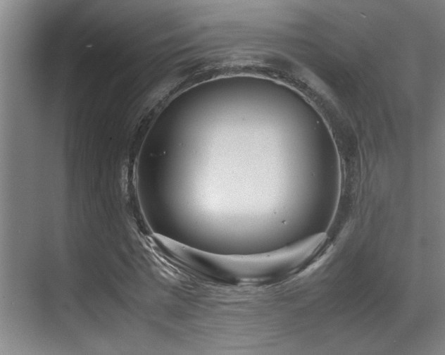X0000070390777200606091150