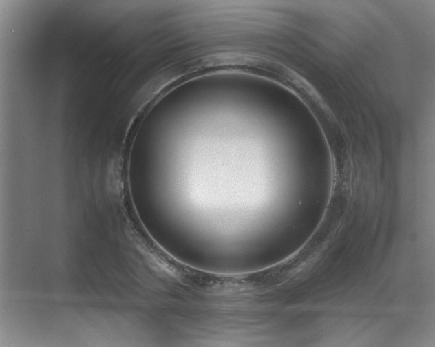 X0000070390786200606091150