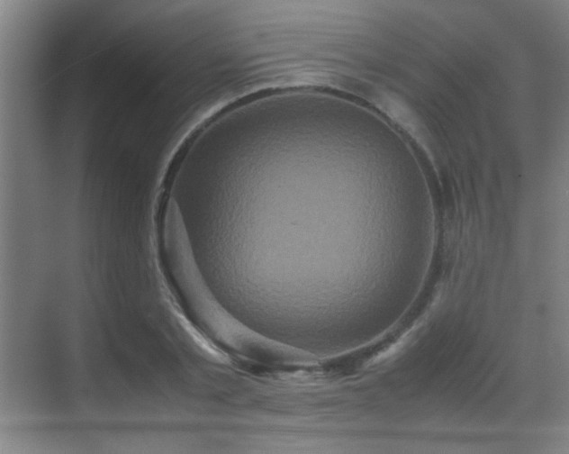 X0000070390789200606091150