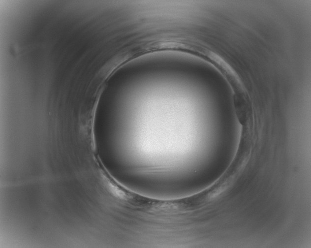X0000070390801200606091150