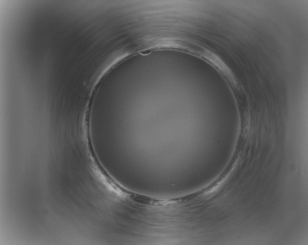 X0000070390806200606091150