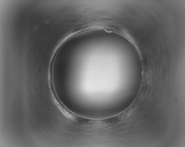 X0000070390811200606091150
