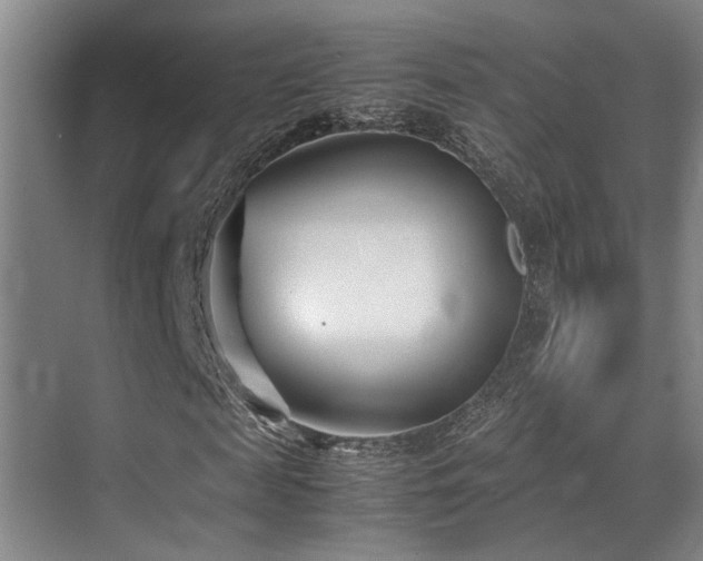 X0000070390817200606091149
