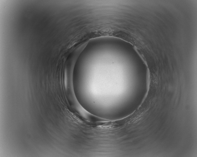 X0000070390818200606091149