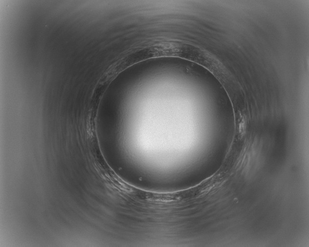 X0000070390819200606091149