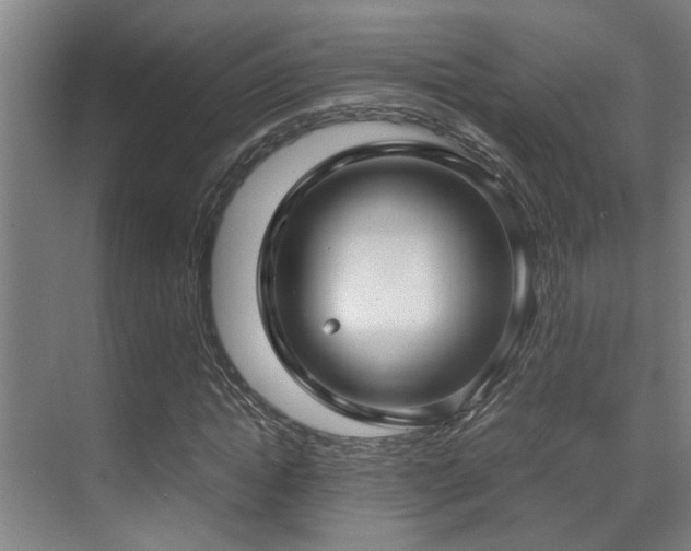 X0000070390822200606091149