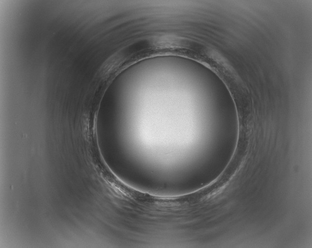 X0000070390825200606091149