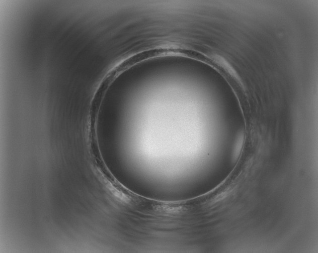 X0000070390831200606091149