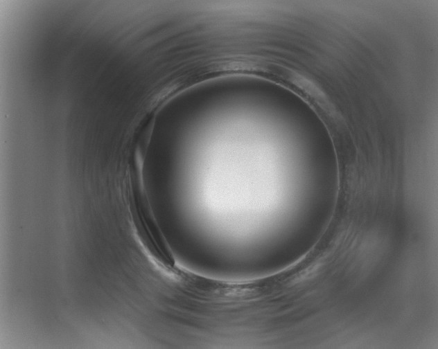 X0000070390841200606091149
