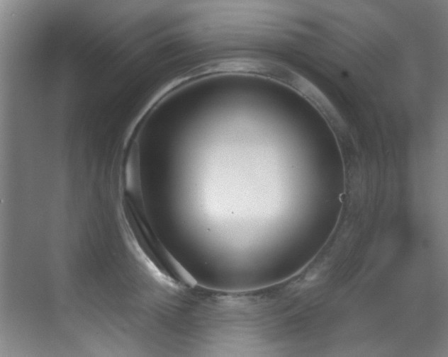 X0000070390852200606091149