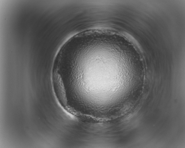 X0000070390855200606091149