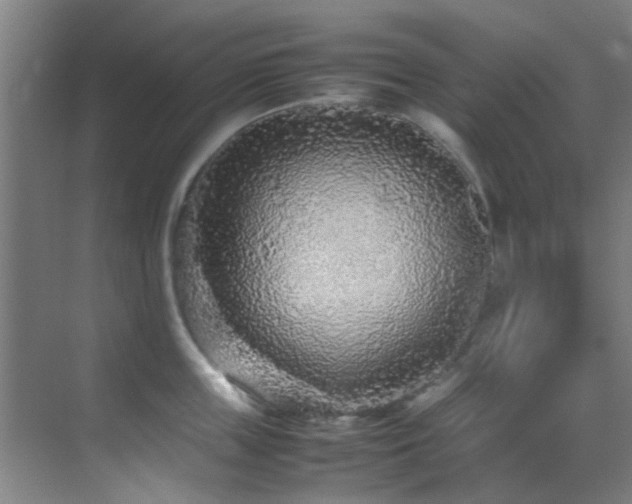 X0000070390859200606091149