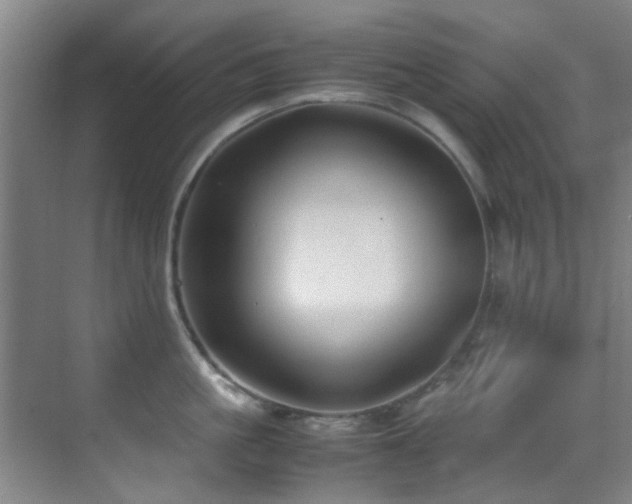 X0000070390861200606091149